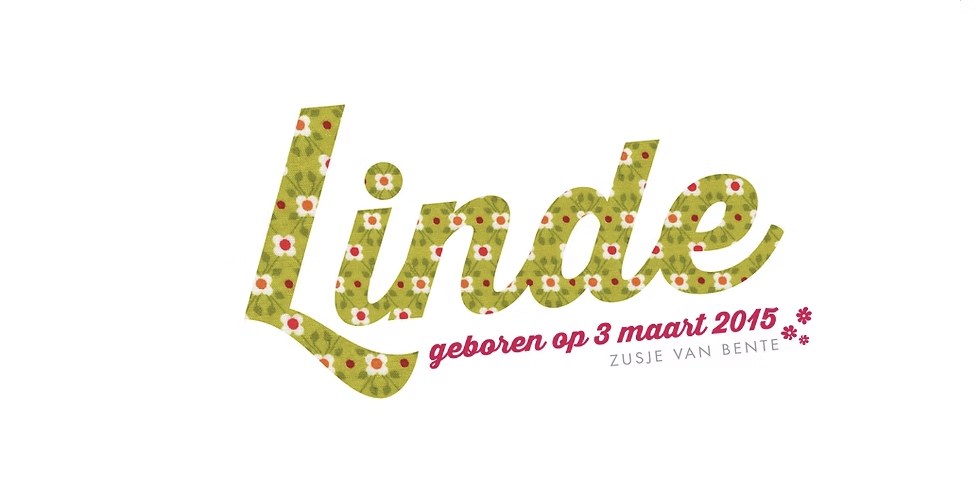 Geboortekaartje Linde